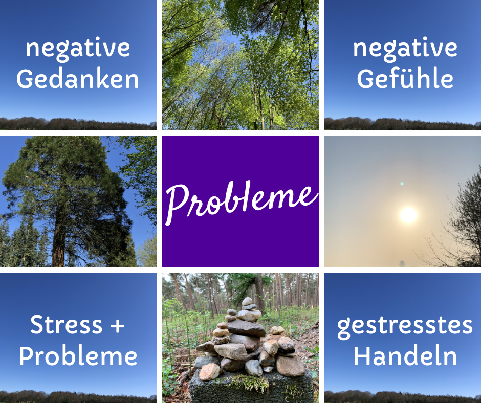 Probleme